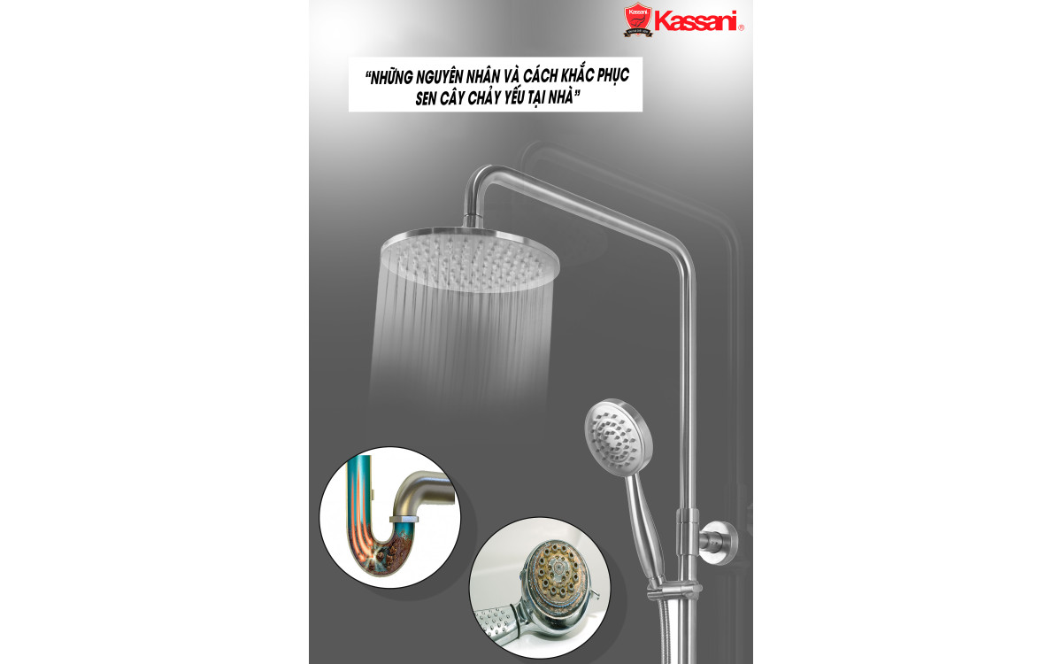 NHỮNG NGUY&Ecirc;N NH&Acirc;N V&Agrave; C&Aacute;CH KHẮC PHỤC SEN C&Acirc;Y CHẢY YẾU TẠI NH&Agrave;