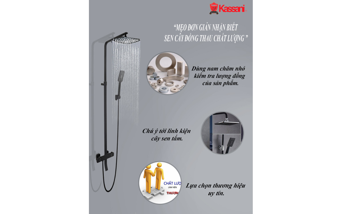 MẸO ĐƠN GIẢN NHẬN BIẾT SEN C&Acirc;Y ĐỒNG THAU CHẤT LƯỢNG 